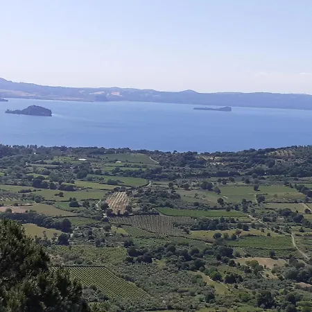Belvedere